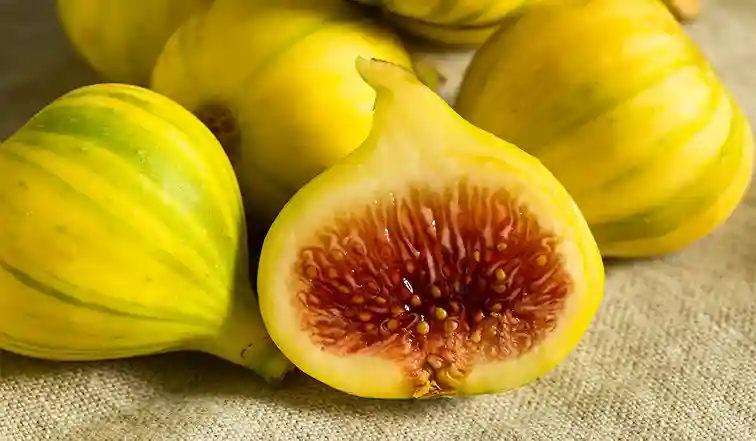 خرید و قیمت انجیر زرد استهبان + فروش عمده